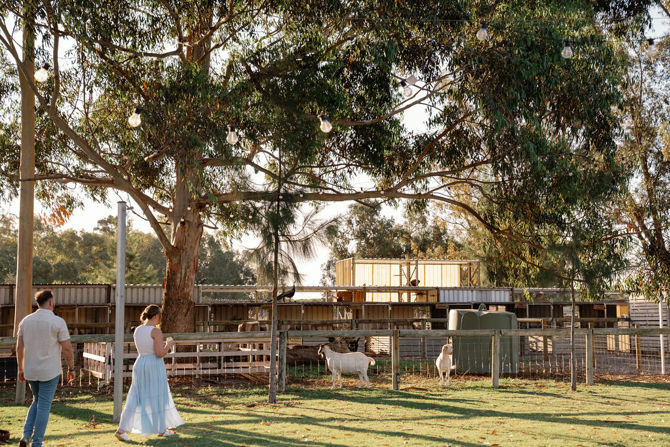 022 11 Acre Farm First Dinner Valentine Girardot Perth Photographer 2024 (1)