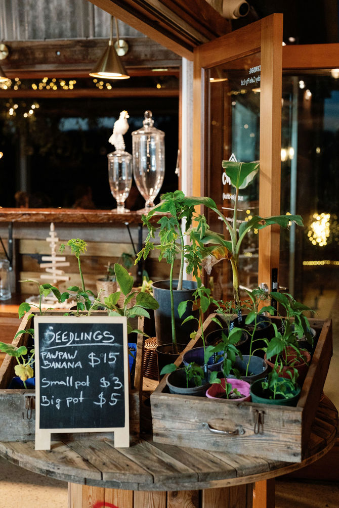 204 11 Acre Farm First Dinner Valentine Girardot Perth Photographer 2024 (1)